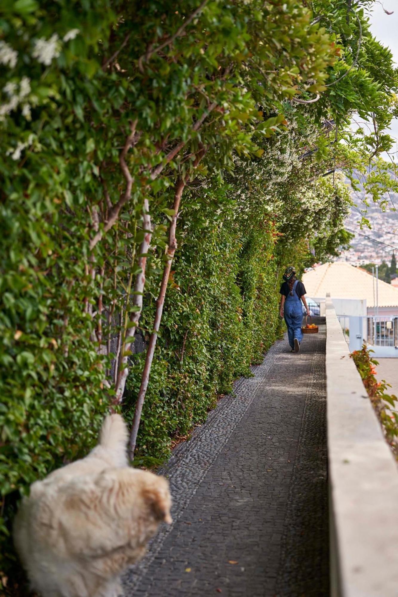 Bordal Houses Funchal  Exterior foto